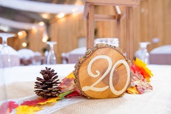 Brown Pinecone on Table in Tilt Shift Photography