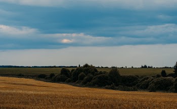 Brown Plain Under Blue Sky