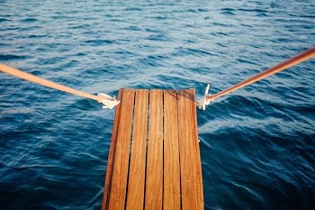 brown plank near large body of water