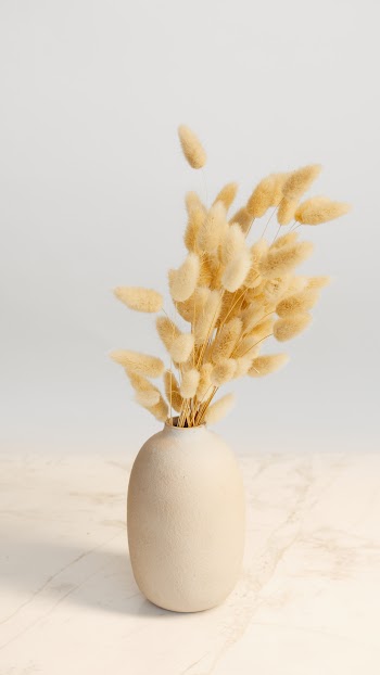 Brown Plant in White Ceramic Vase · Free Stock Photo