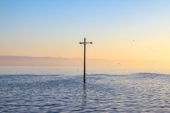 brown post on body of water