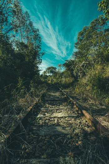 Brown Rail Way Near Green Trees Under Cloudy Blue Sky at Daytime