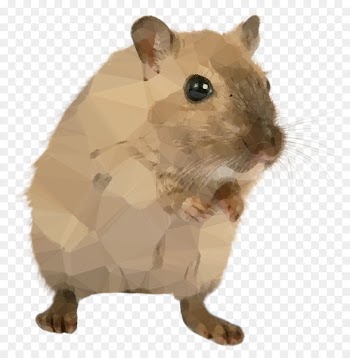 Brown rat Rodent Mus Portable Network Graphics Clip art -  