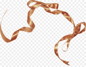 Brown ribbon Silk Shoelace knot - Brown silk ribbon 