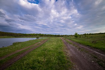 Brown Road and Green Grass Fields