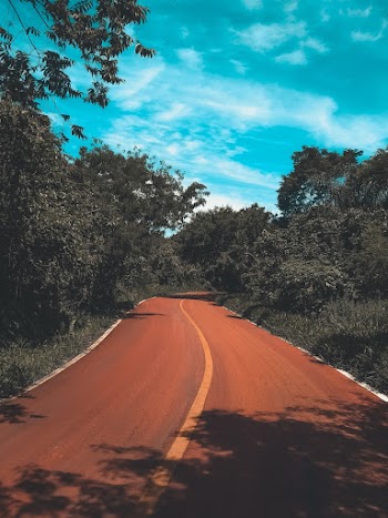 Brown Road Between Green Leafed Trees