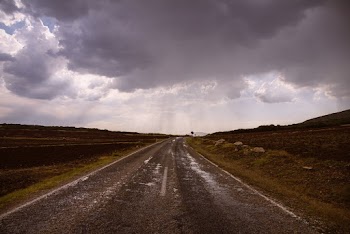 Brown Road Path