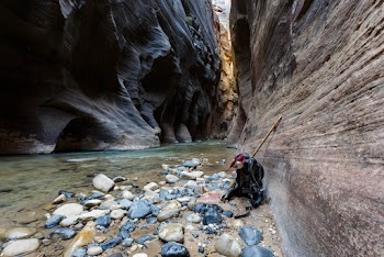 Brown Rock Formation