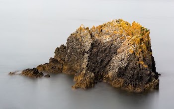 brown rock formation