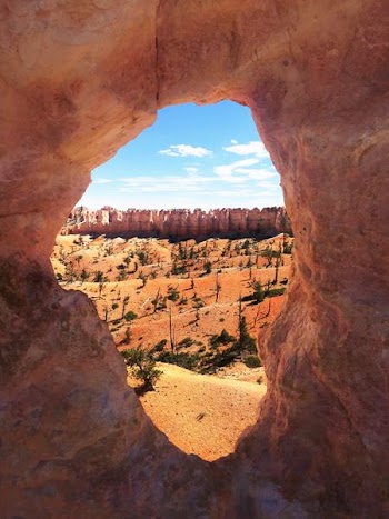 brown rock formation
