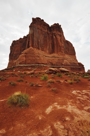 Brown Rock Formation