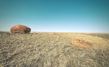 Brown Rock on Green Grassland