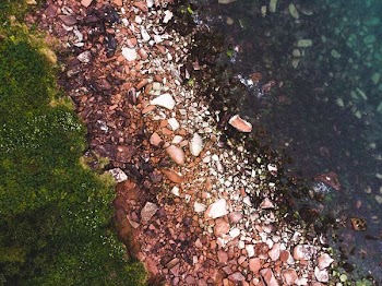 brown rock pubbles