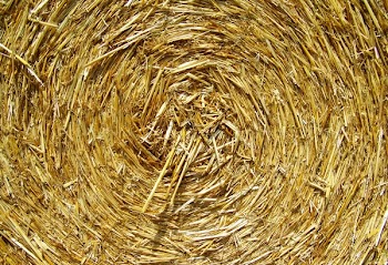 Brown Rolled Hay