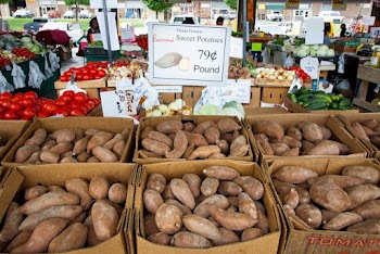 Brown Root Crops on Brown Cardboard Boxes