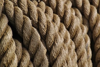Brown Rope