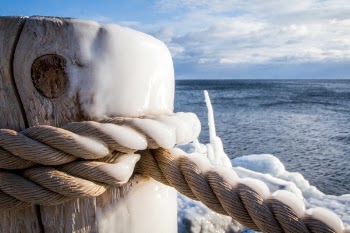 Brown Rope Tied On Wooden Post Beside Body Of Water