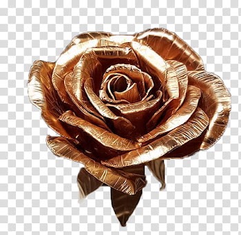 , brown rose illustration transparent background PNG clipart