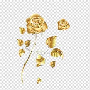 Brown roses sticker, Beach rose Golden Rose Color, Golden Rose transparent background PNG clipart