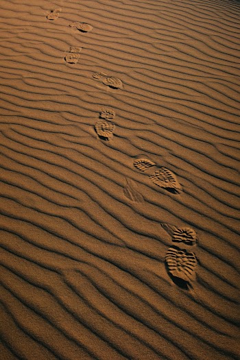 Brown Sand