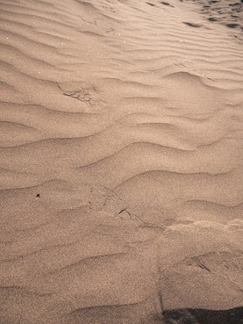 Brown Sand