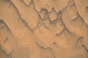 brown sand dune