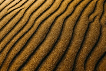 Brown Sand Dunes