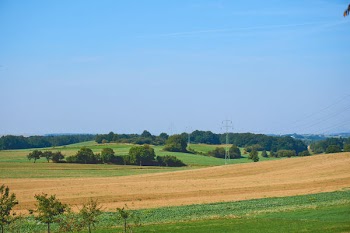 Brown Sand Dunes Surrounded by Green Grass Under the Blue Sky