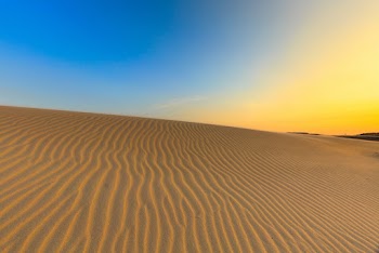 Brown Sand Field