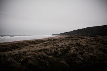 brown sand photo