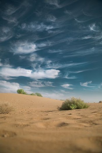 brown sand under blue sky at daytime
