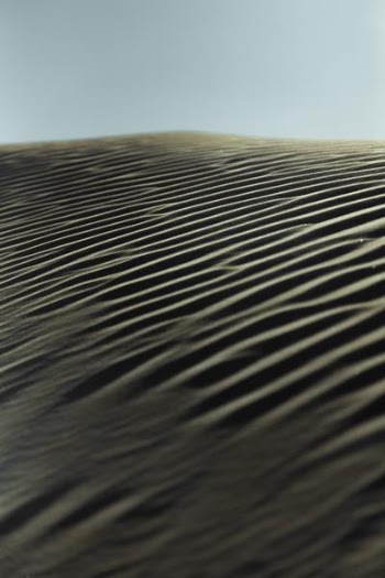 brown sand under daytime
