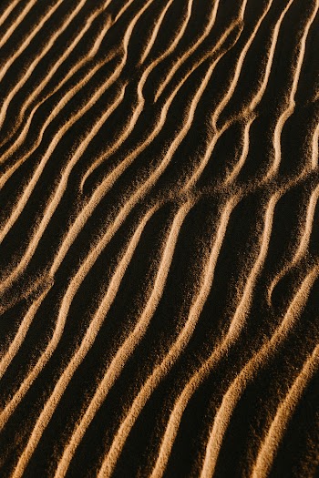Brown Sands