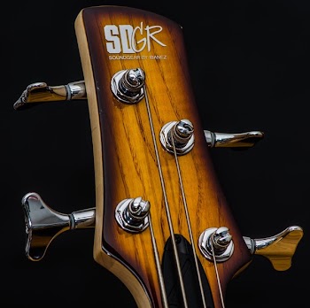 Brown Sdgr Guitar Headstock