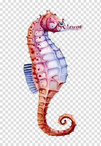 Brown seahorse, Seahorse Watercolor painting Drawing, Color hippo transparent background PNG clipart