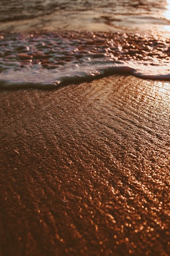 Brown Seashore