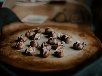 Brown Seeds
