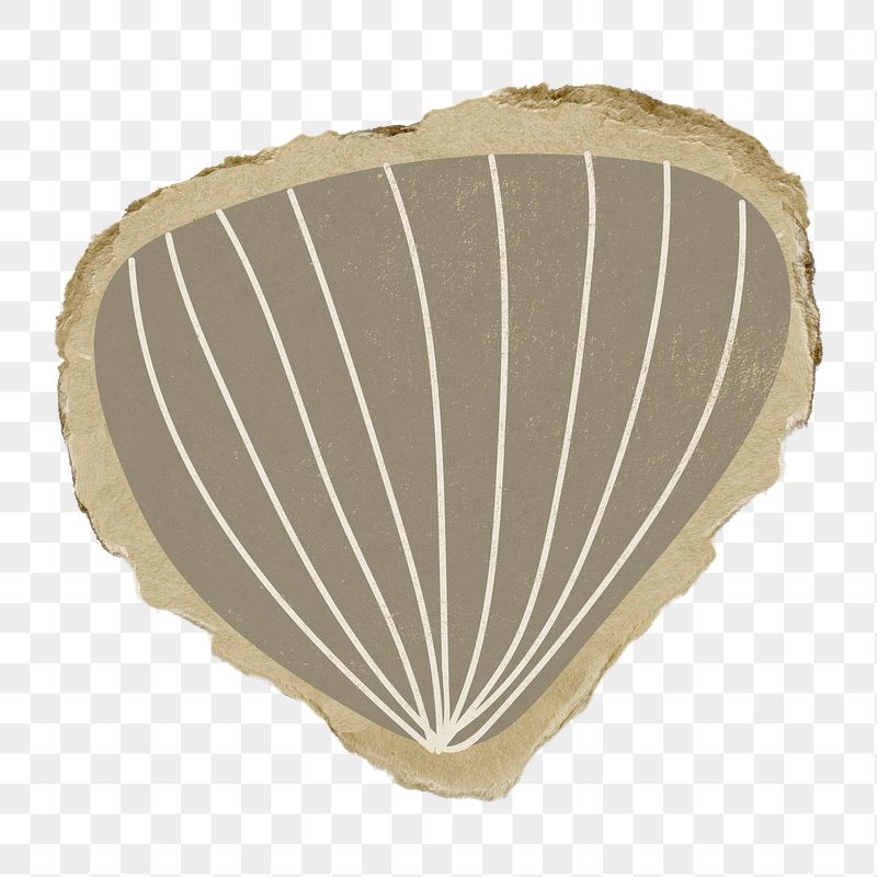Brown shell png sticker, abstract | Free PNG - rawpixel