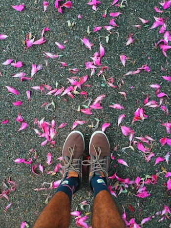 Brown Shoes and Pink Flowers
