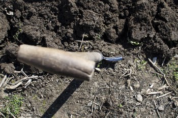 Brown Shovel