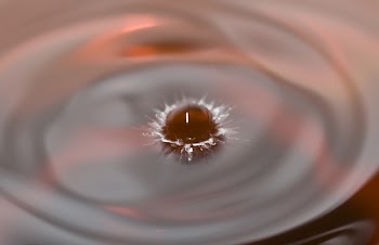 Brown Small Ball Dropped on Water