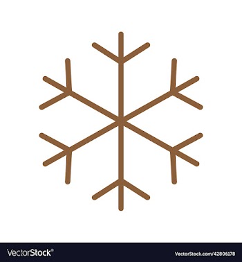 brown snowflake icon