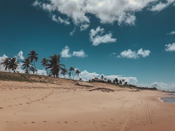 Brown Soil
