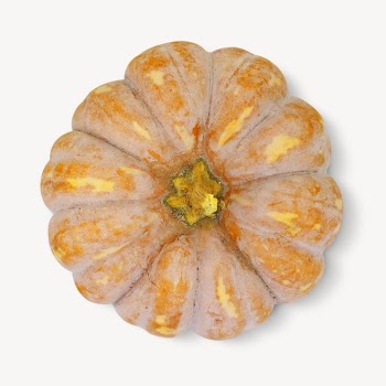 Brown squash isolated image on white | Free Photo - rawpixel