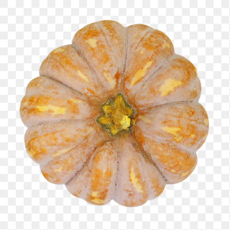 Brown squash png sticker, transparent | Free PNG - rawpixel
