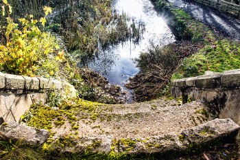 Brown Staircase Towards Body of Water