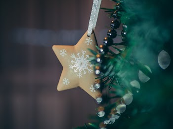 Brown Star Tree Decor