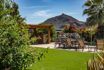 Brown Steel Outdoor Lounge Chairs Near Grass and Trees