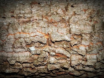 Brown Stone Wall