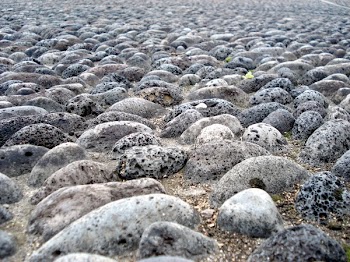 Brown Stones on Soil during Daytime